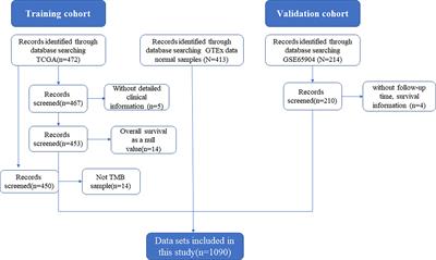 Development and validation of prognostic index based on immunogenic cell death-related genes with melanoma